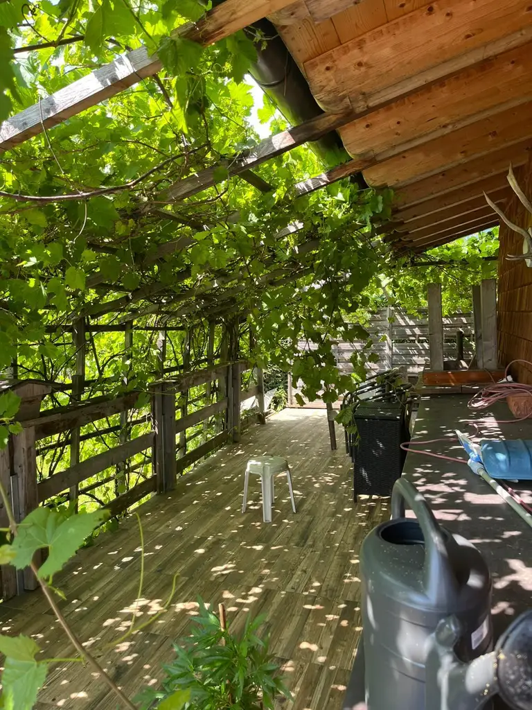 Gepflegtes kleines Chalet in Kirchdorf bei Kitzbühel