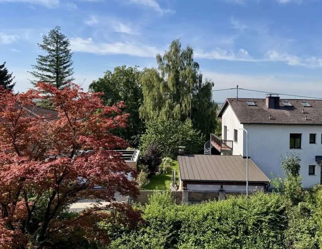 Sonniges Grundstück mit Altbestand in ruhiger Siedlungslage I Leonding