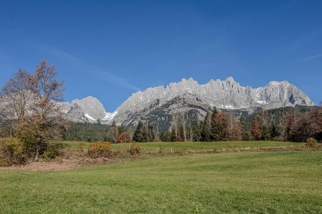Gartenwohnung in Toplage