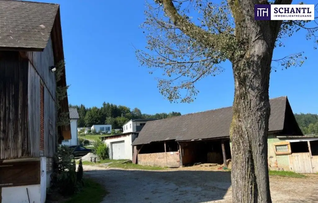 PFERDERANCH IN DER GRÜNEN STEIERMARK! Idyllischer Reiterhof in der Steiermark – Natur, Ruhe & Freiheit genießen! GLEICH ANFRAGEN UND BESICHTIGUNGSTERMIN VEREINBAREN!