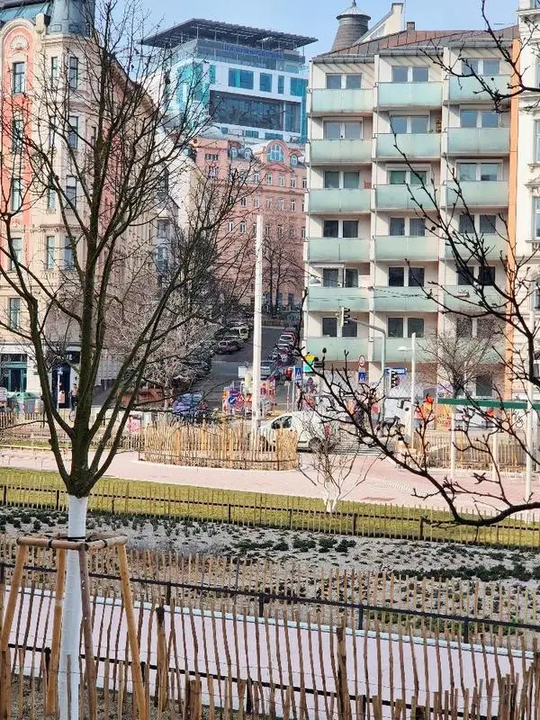 Park, Blick Haus des Meeres