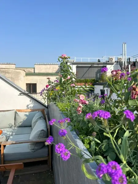 Willkommen auf der Sonnenseite! Ihre neue Wohlfühloase mit sonniger Dachterrasse und wunderbarer Aussicht im Herzen der Josefstadt