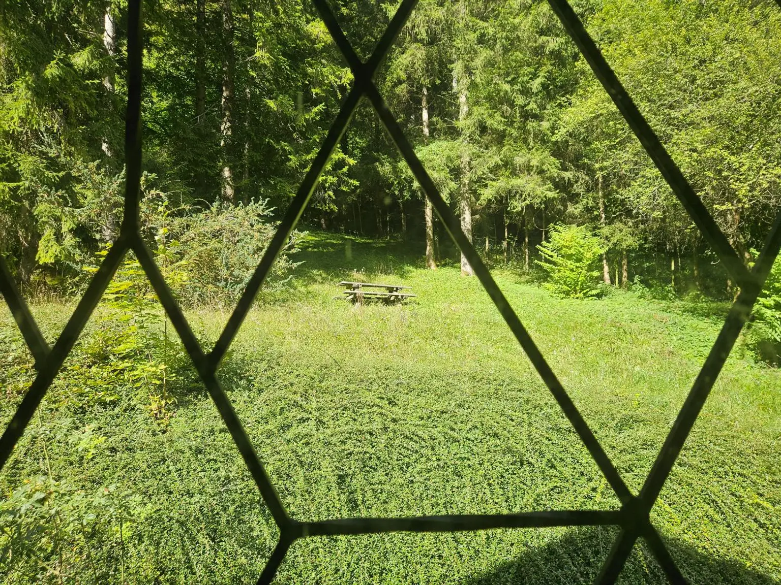 Naturnah wohnen – Einfamilienhaus am Waldrand