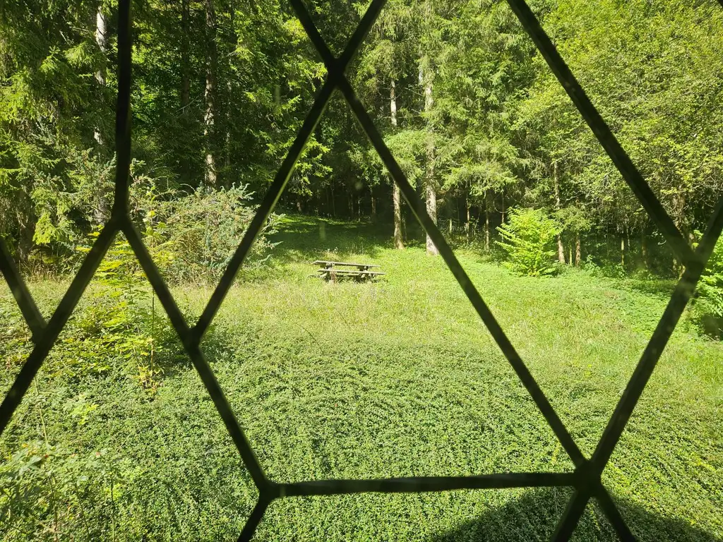 Naturnah wohnen – Einfamilienhaus am Waldrand