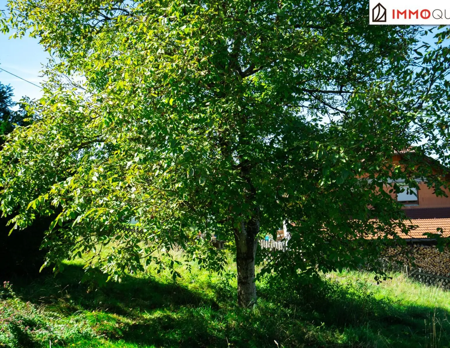 Naturidylle mit Perspektive! Baugrundstück ohne Bauzwang in ruhiger Aussichtslage - ideal für Familien, Paare & Naturfreunde