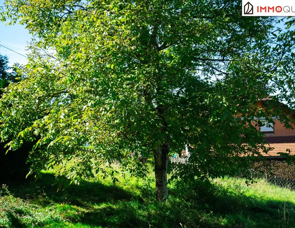 Naturidylle mit Perspektive! Baugrundstück ohne Bauzwang in ruhiger Aussichtslage - ideal für Familien, Paare & Naturfreunde