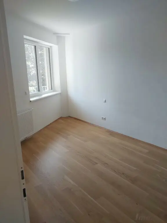 Zimmer 2