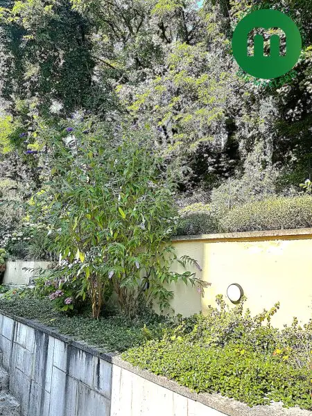 Wohnen am grünen Stadtrand - 160 m² Gartenwohnung in absoluter Ruhelage