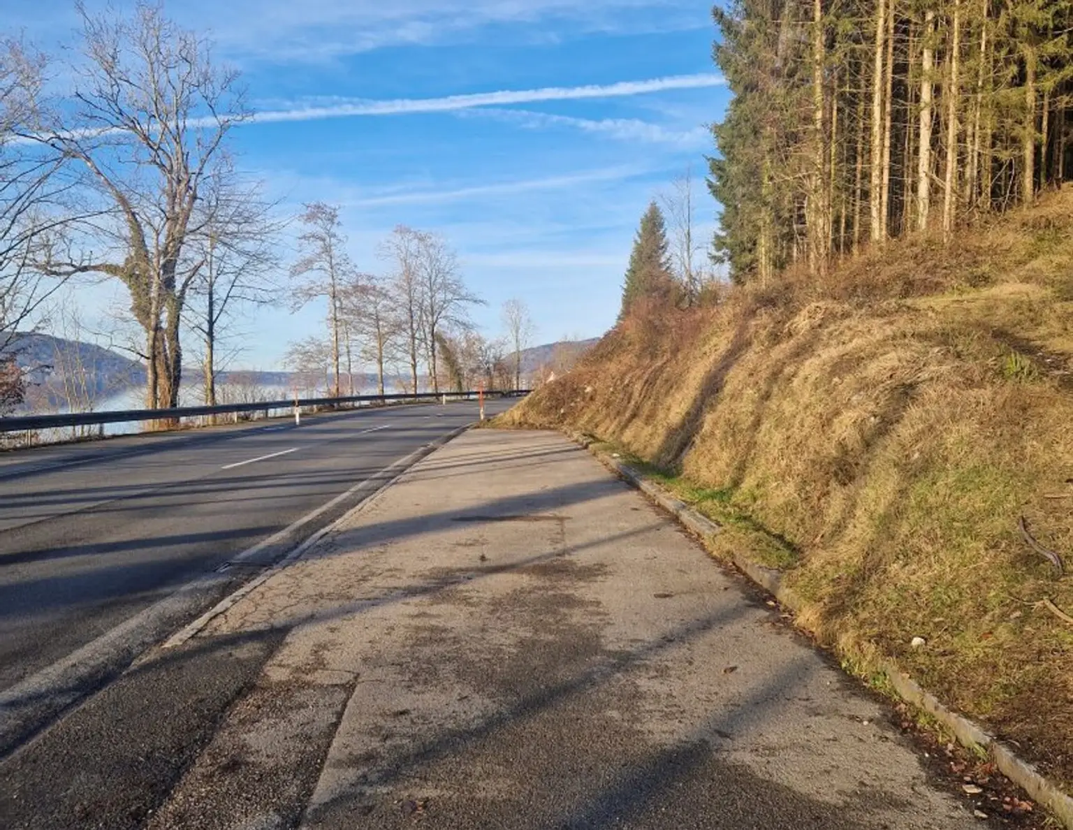 Privater Badeplatz am Attersee - Sonnenuntergänge im Alleineigentum genießen