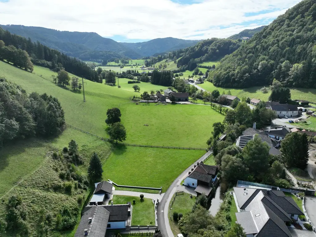 Haus mit großem Grundstück