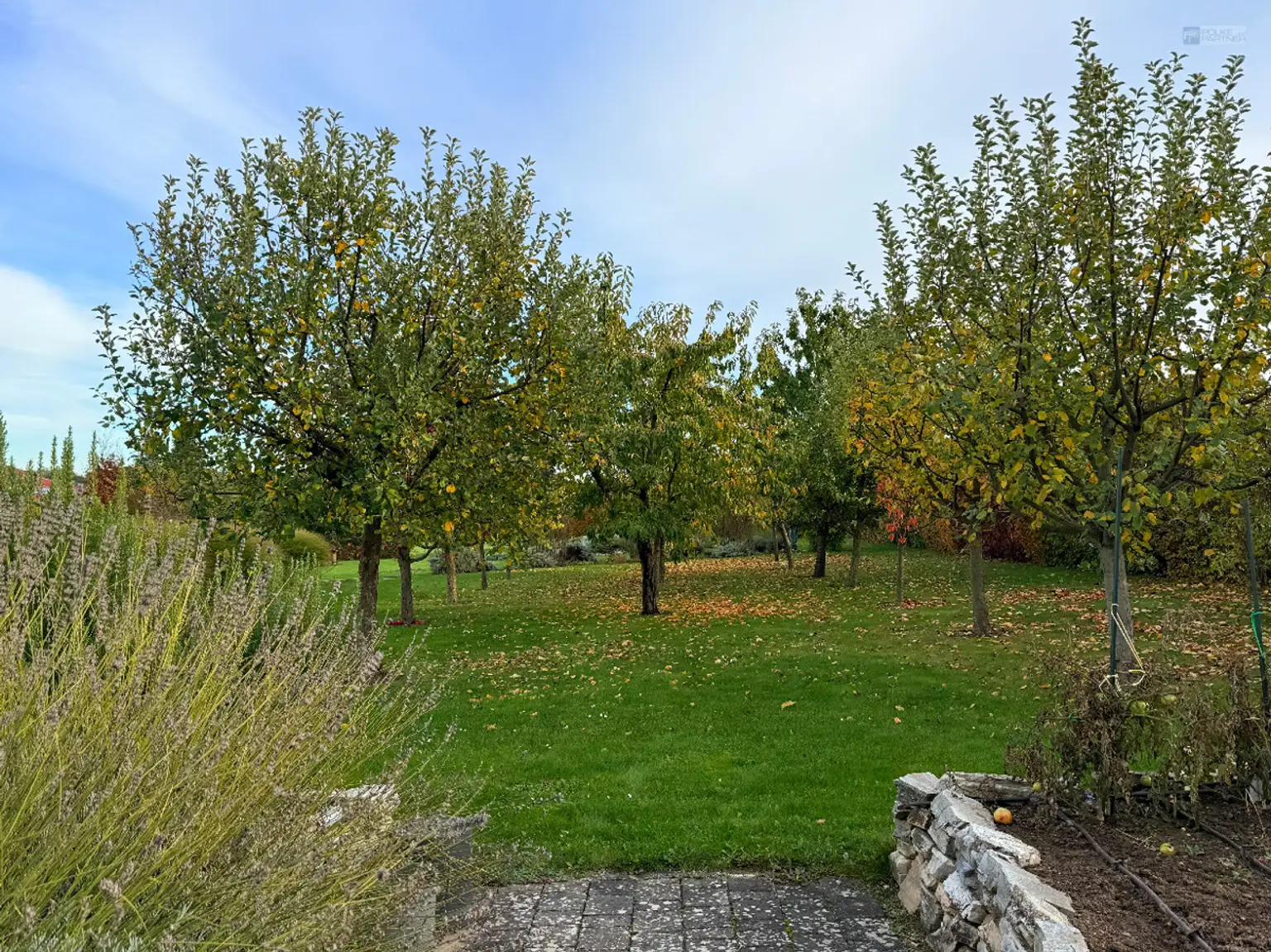 GARTENPARADIES   -  9.000 M² - 
LANDHAUS IN PARKLANDSCHAFT  
NUR 30 MINUTEN VON WIEN