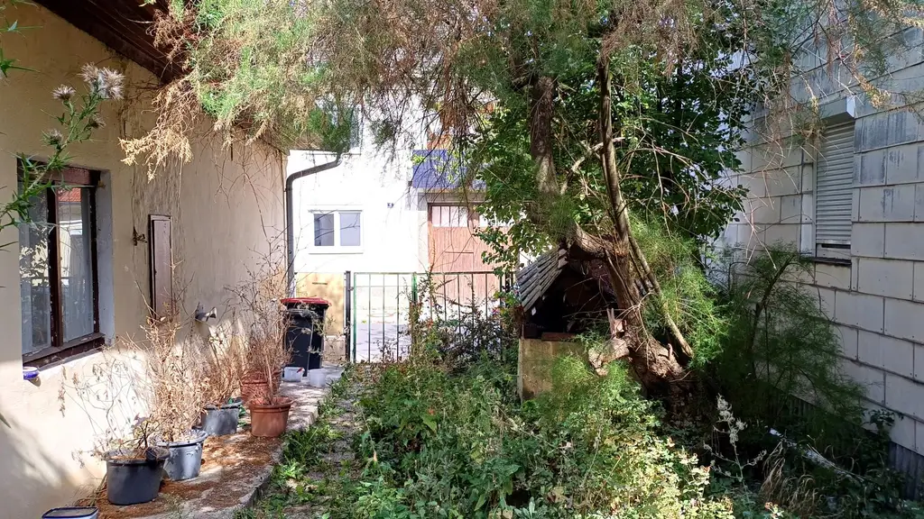 burgenländischer Streckhof - Baugrund mit Altbestand, Abriss o. Sanierung
