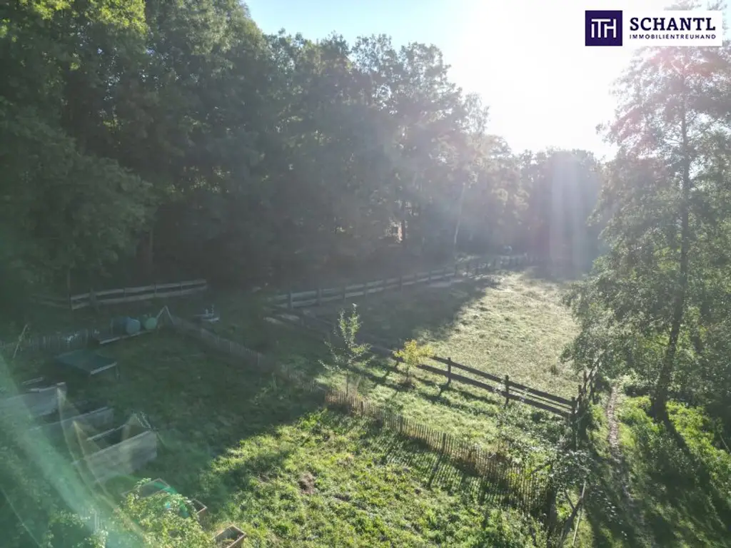 SENSATIONELLES JUWEL! Exklusiver Vierkanthof im Thermenland Steiermark – Wohnen, Reiten & Leben mit Pool und Natur!