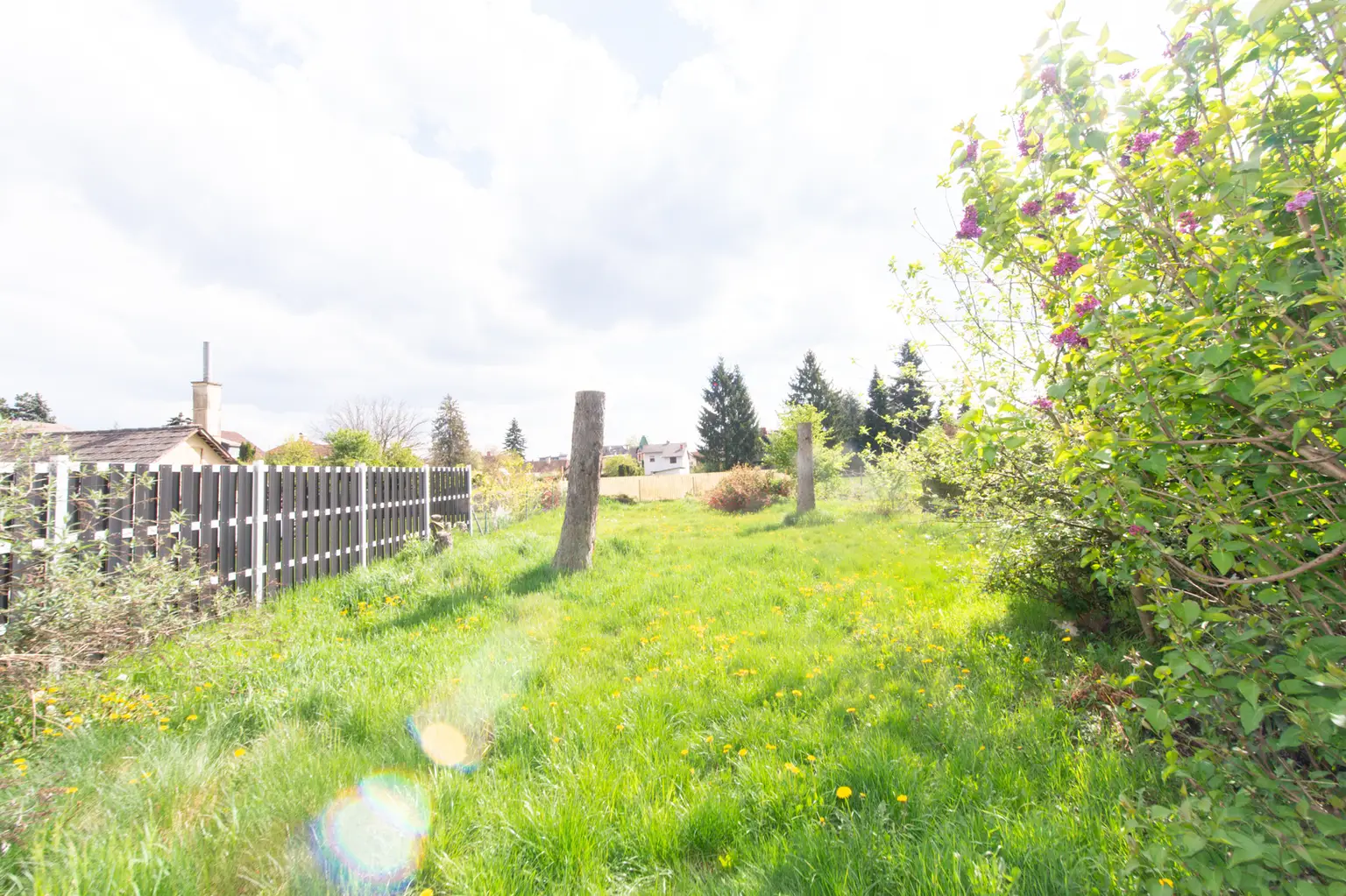 Geidörfl Leibnitz-78