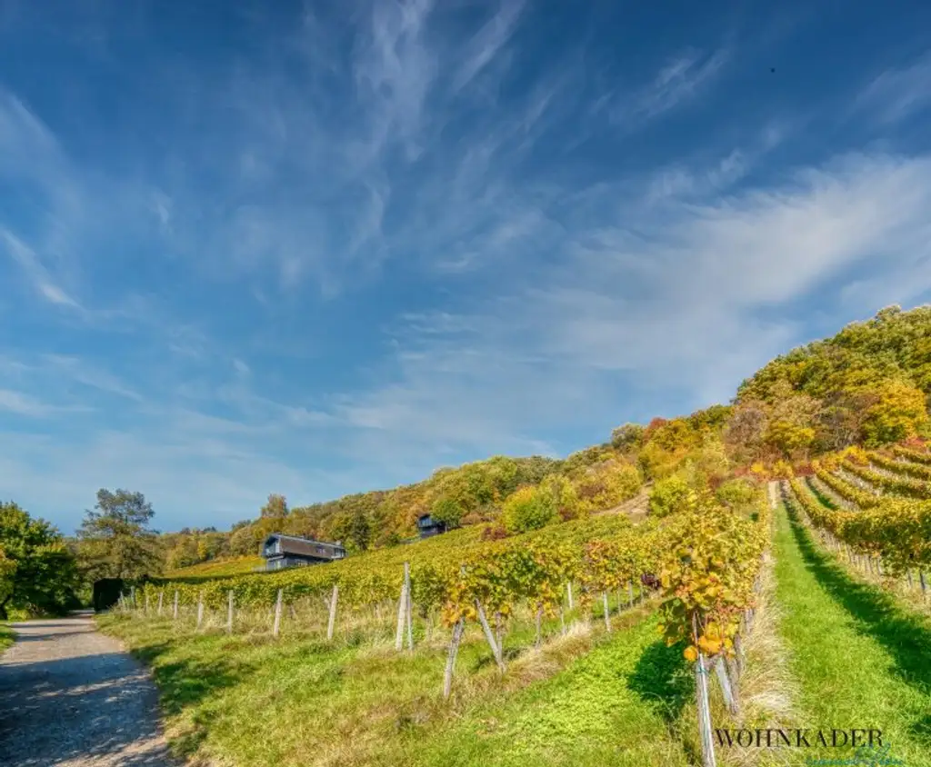 Exklusives Traumhaus zur Miete mit Panoramablick auf die Weinberge
