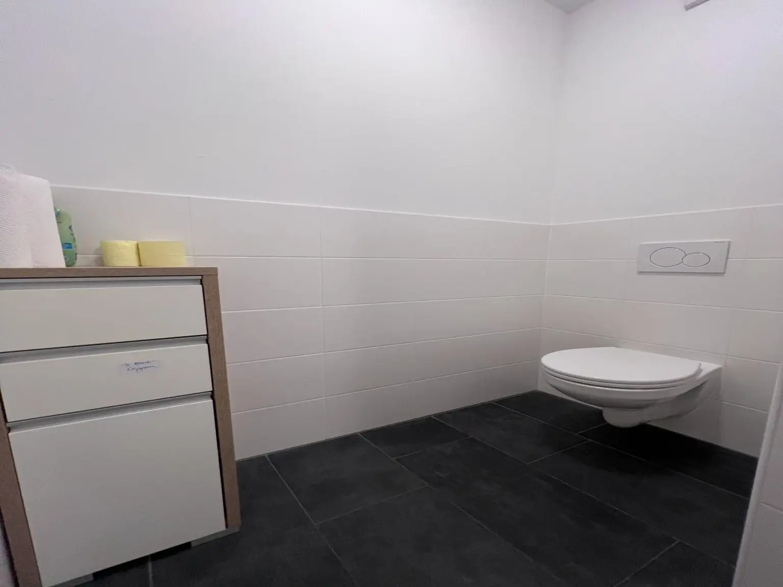 Moderne Single-Wohnung mit Gartenidylle in Graz