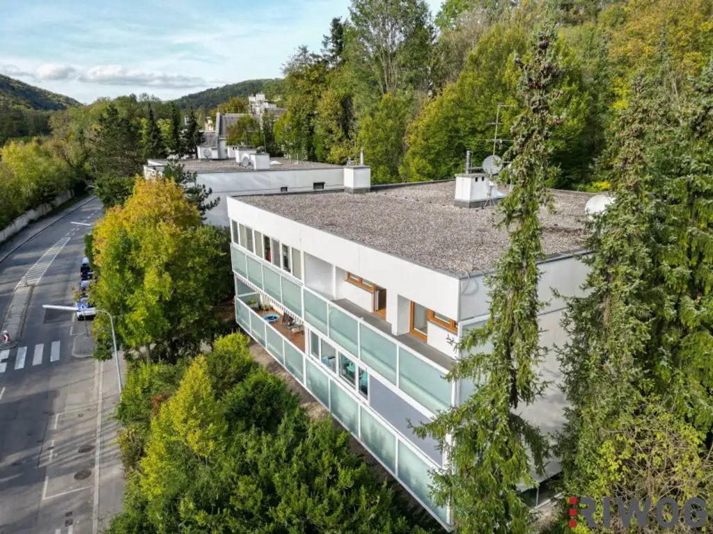 ERSTBEZUG nach Sanierung mit Blick auf Schloss Laudon  | ca. 16 m² Loggia  | Garagenplatz | Vollausgestattete Küche | Erholungsgebiet angrenzend