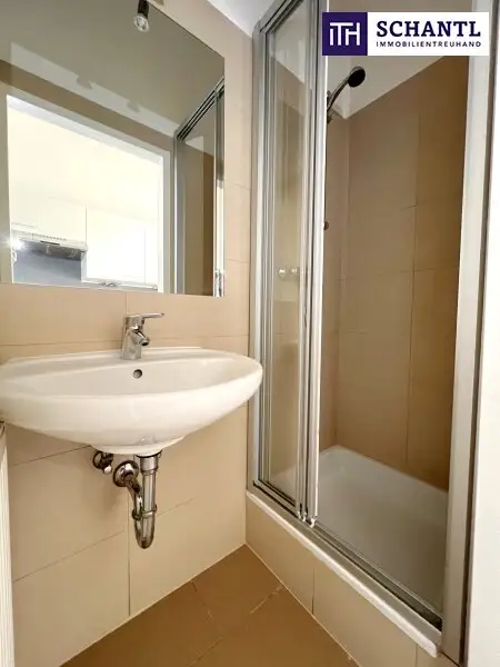 Klein. Fein. Mein. – frisch sanierte Wiener Altbauwohnung in Ruhelage mit Charme & Stil. Jetzt entdecken & verlieben!