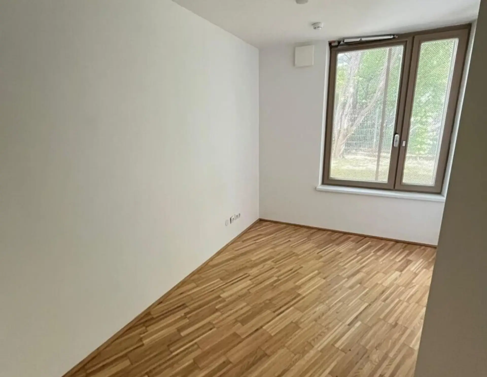NEU - Höchst Originelle & Sehr Schönes Reihenhaus in der Griesgasse - Stilvoll Wohnen, Haustiere Erlaubt! WG Geeignet!