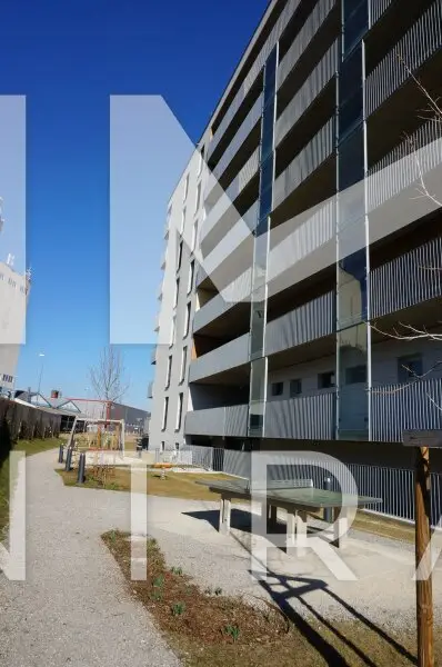 Aufblühen in Reininghaus