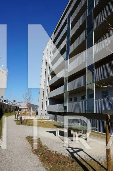 Aufblühen in Reininghaus