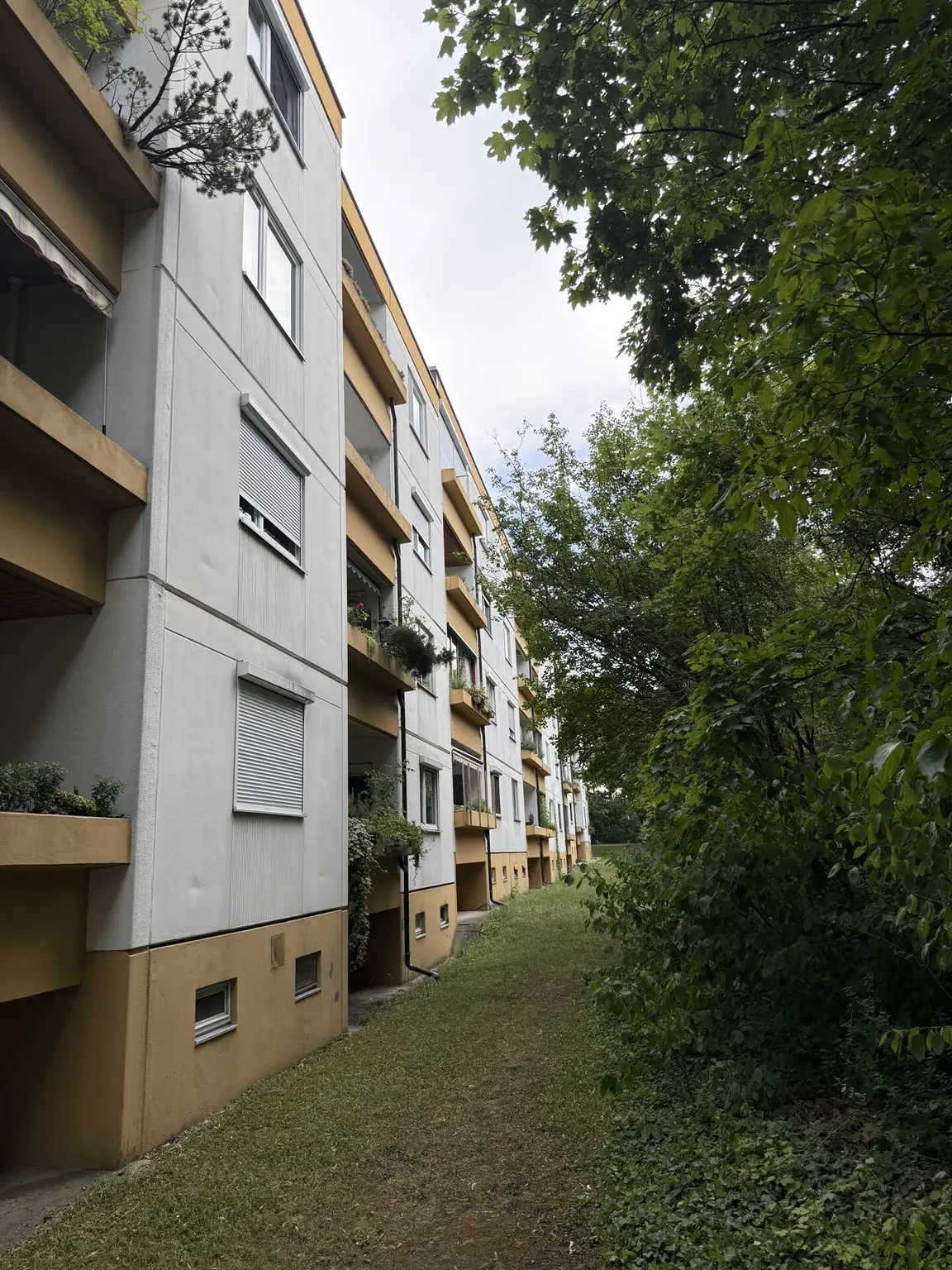3 Zimmer + Balkon +Parkplatz