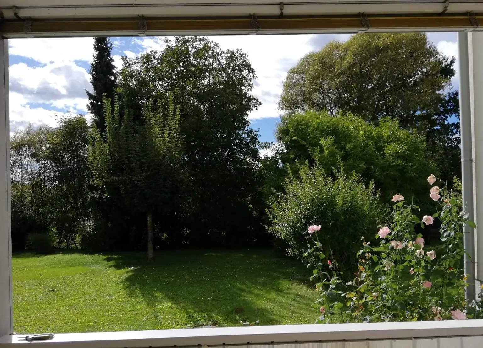 Ausblick in den Garten