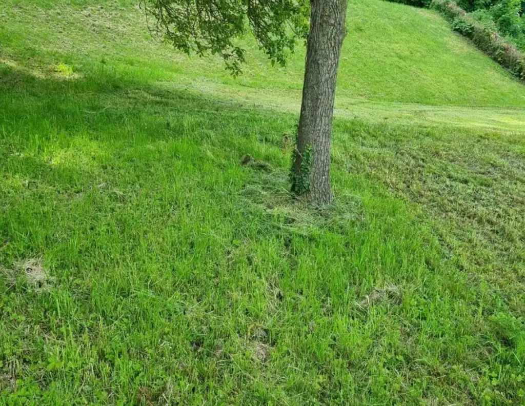 Baugrundstück in 4111 Walding