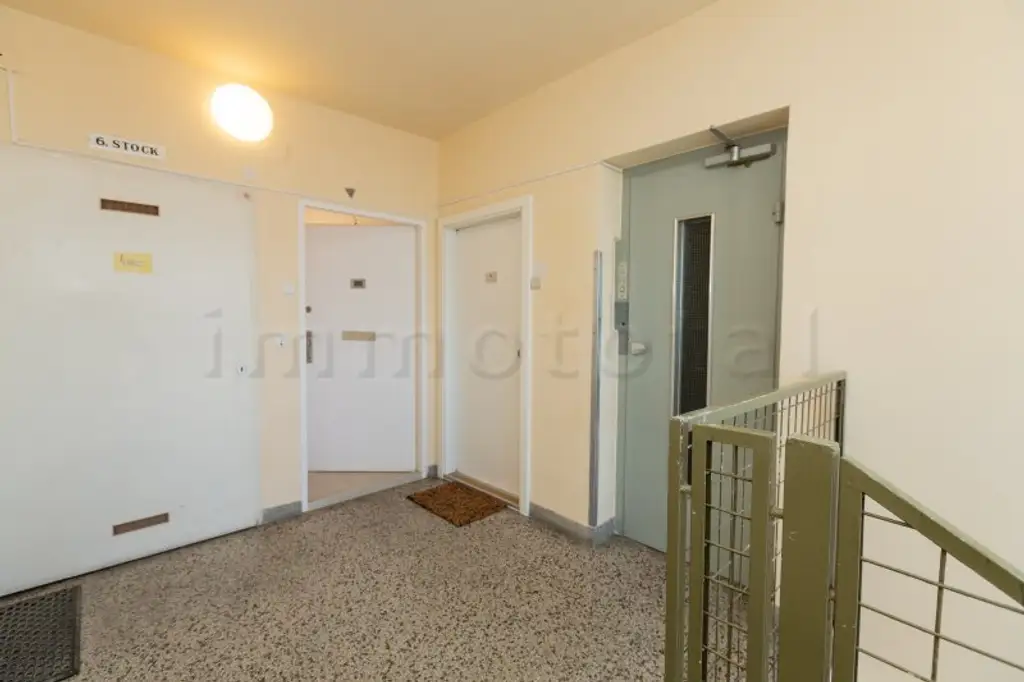 Fasanviertel - Neuadaptierte DG-Wohnung mit  9 m2-Westterrasse im 6. Liftstock