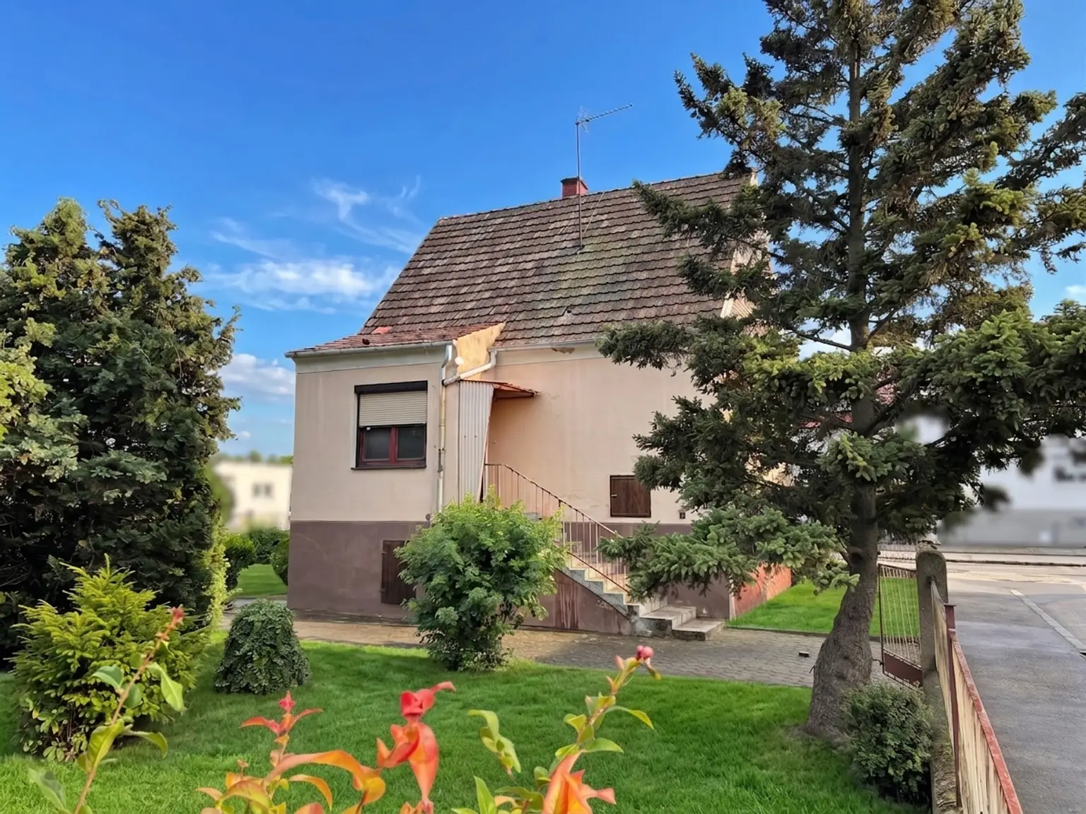 Blick Garten (Himmel und Wiese mit KI bearbeitet)