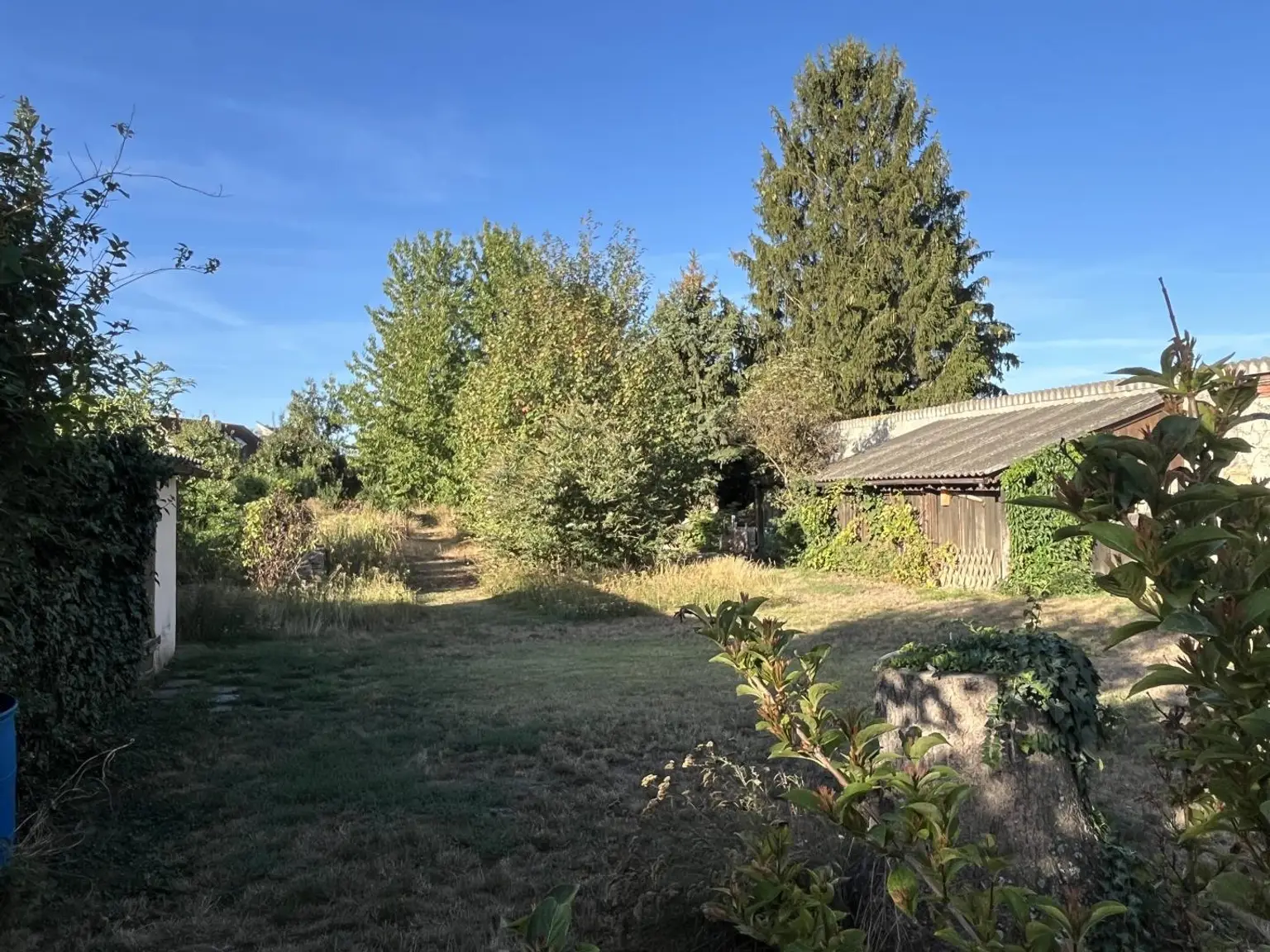 sehr viel Platz im Garten