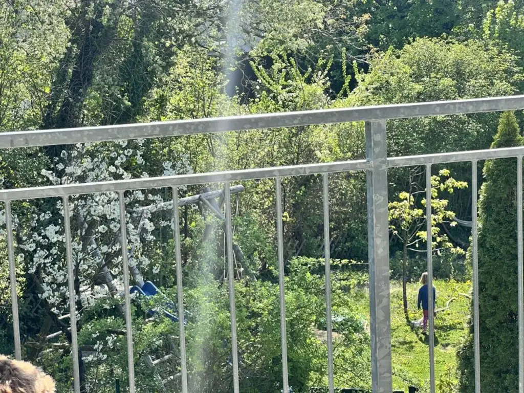 Moderne, zentrumsnahe Familienvilla mit großem Garten in gefragter Grünruhelage (!)