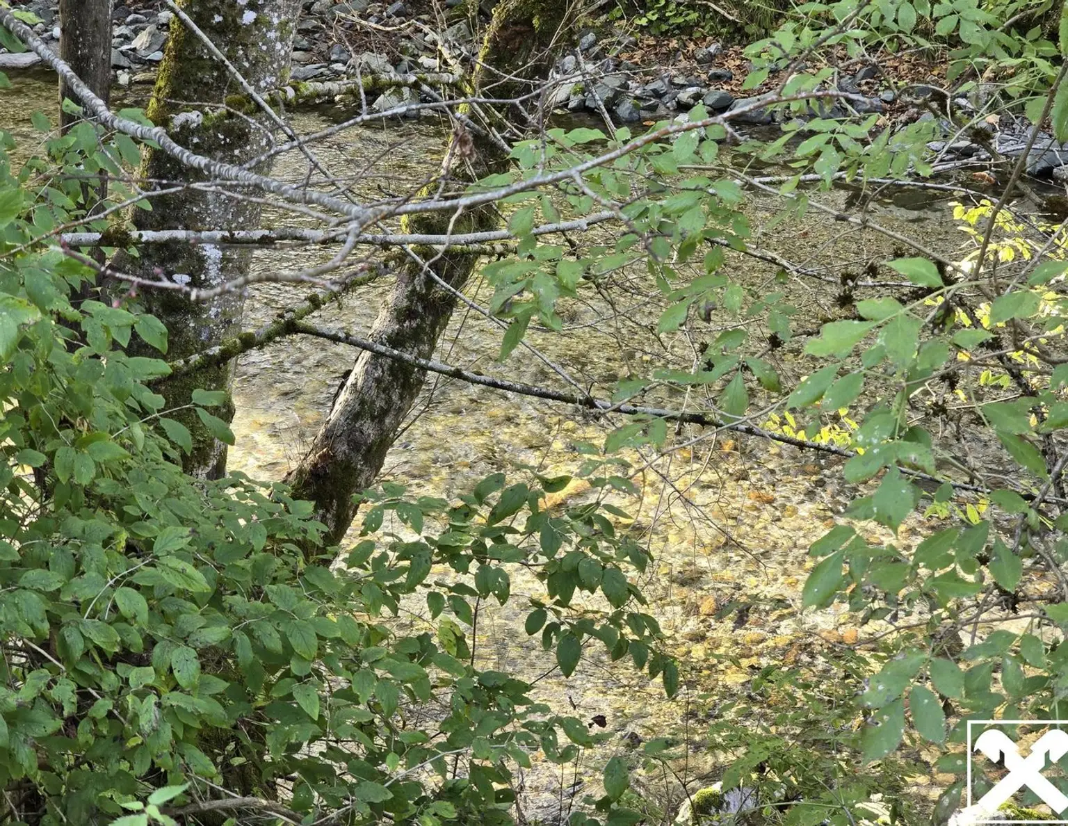 Grundstücke mit Zukunft - vielseitig nutzbare Wald- und Wiesenflächen in idyllischer Lage von Bad Eisenkappel
