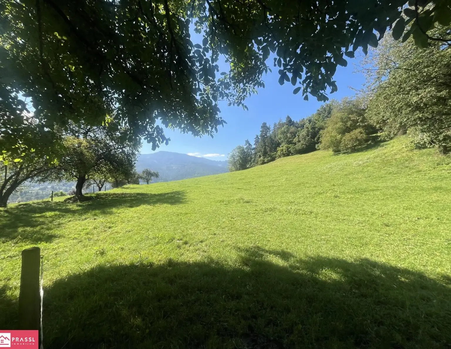 Einmalige Gelegenheit: Traumgrundstück am Südhang mit Panoramablick - 2,4 ha Bau- & Bauerwartungsland in Proleb/Leoben