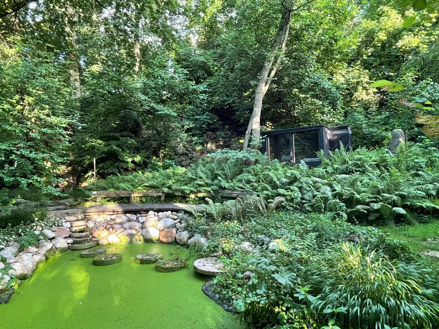 Wilder Teich mit Ruhekubus