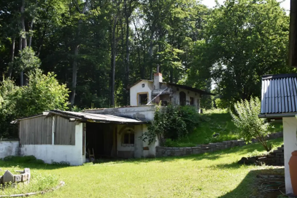 LANDHAUS MIT GROSSEM, SONNIGEN GRUND AM WALDRAND