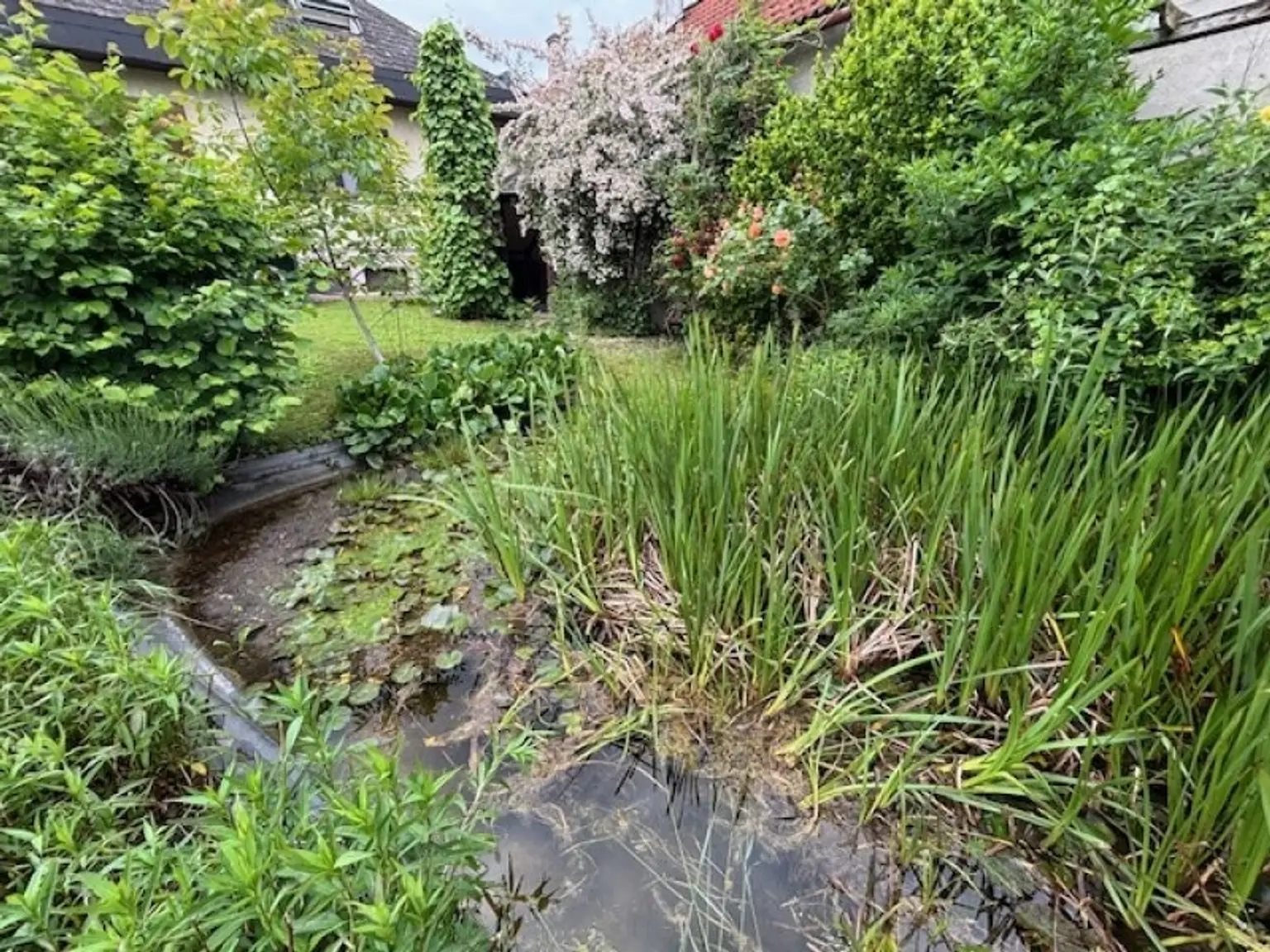 Engelhartstetten - Gediegenes Einfamilienhaus mit großem sonnigen Garten