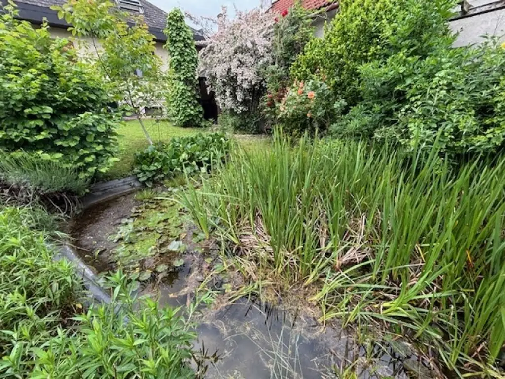 Engelhartstetten - Gediegenes Einfamilienhaus mit großem sonnigen Garten