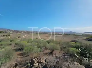 Land-Granadilla-xxx-Teneriffa-15