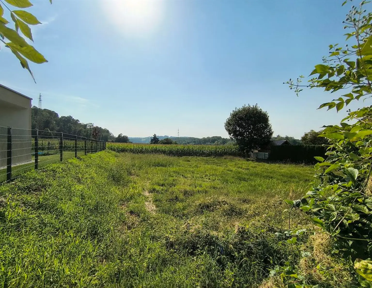 3313 Wallsee/Nähe Donau: Sonniges Baugrundstück in sehr guter, ruhiger Lage