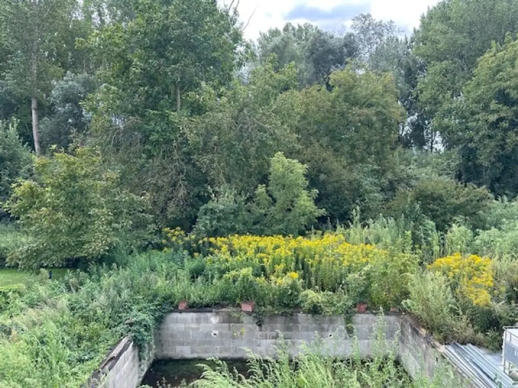 TRAUMHAUS mit POOL am AUWALD mit Blick ins GRÜNE