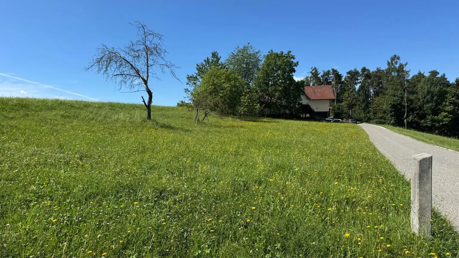 Sonniges Baugrundstück in idyllischer Lage – Edelsgrub, 8302 Nestelbach