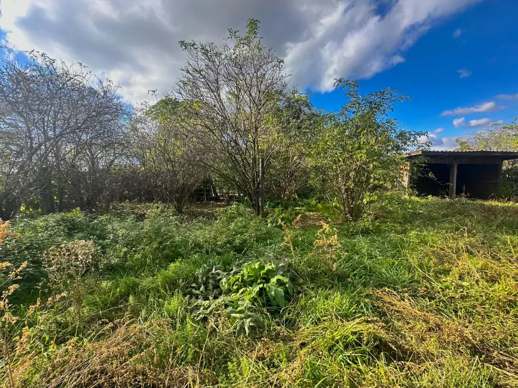 Reiterparadies im Weinviertel – Ihr Traum vom Landleben!