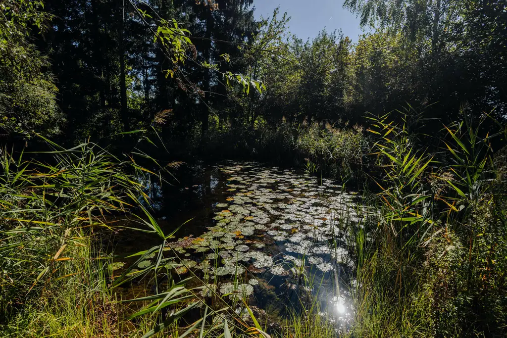 Großzügiges Einfamilienhaus mit Schwimmteich in Weinitzen - ländliche Geborgenheit trifft modernen Wohnkomfort