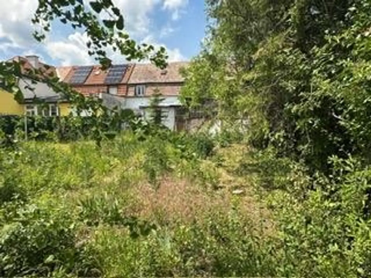 11 Garten
