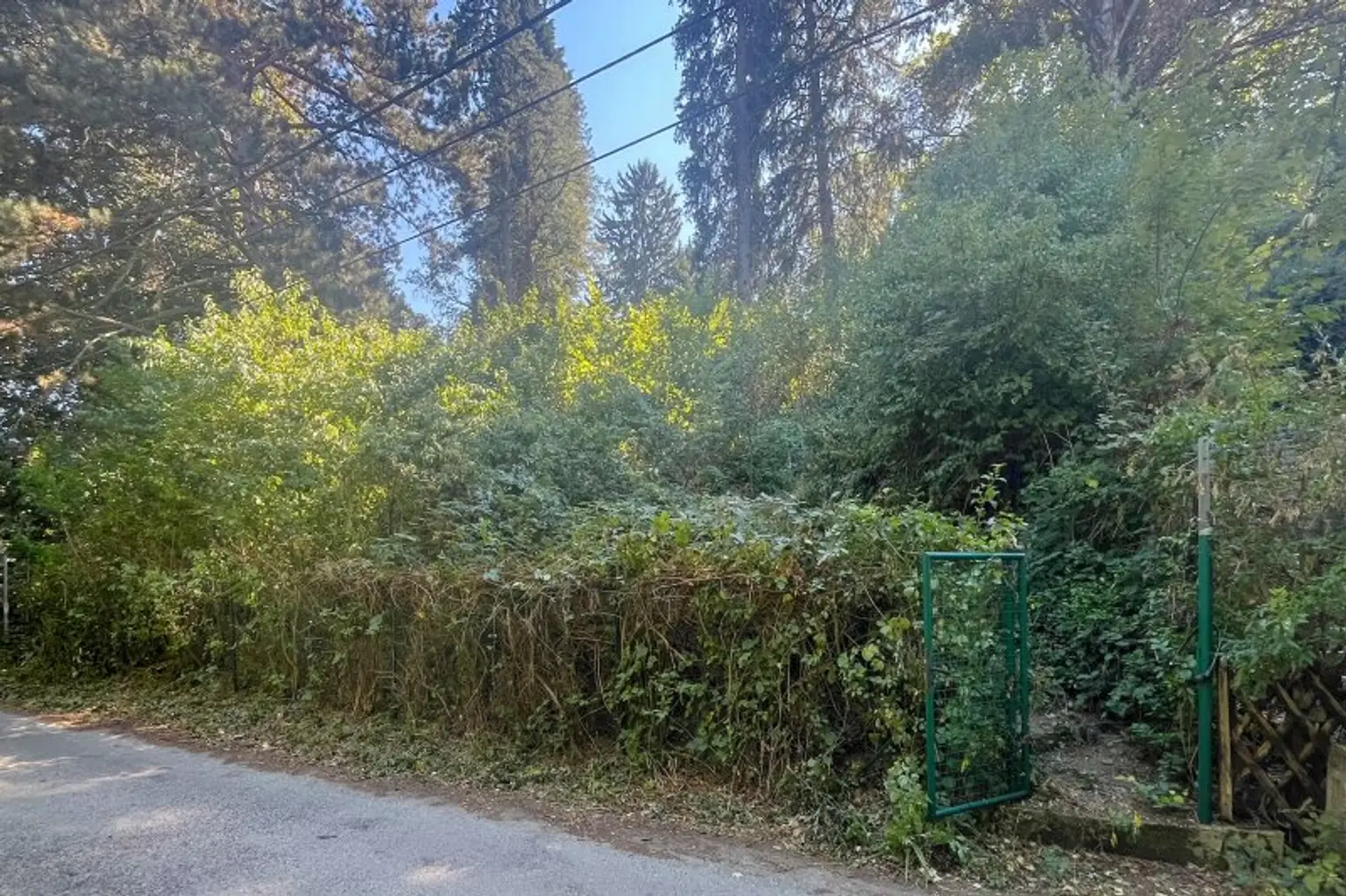 aktuelles Foto, Grundgrenze zur Privatstraße