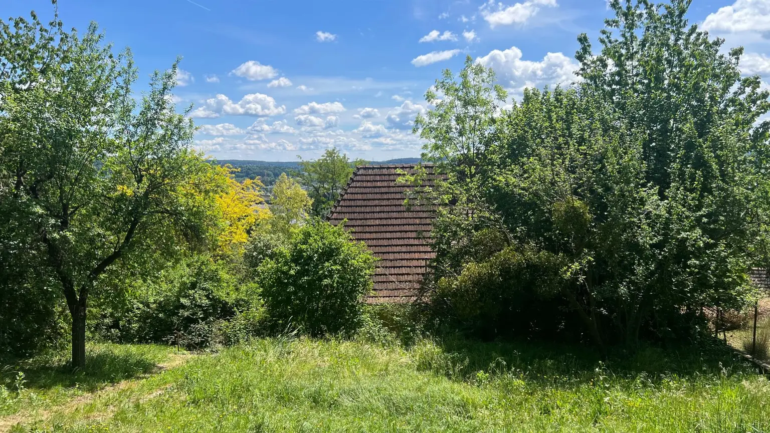 Blick zum Haus