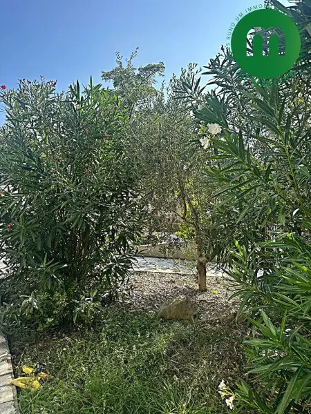 landestypische Vegetation