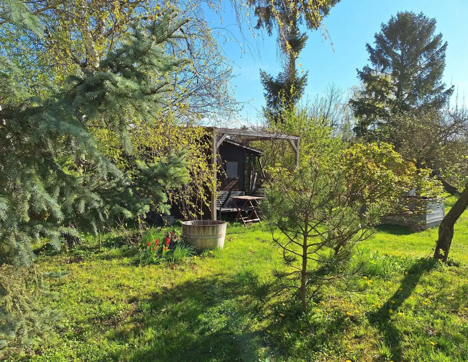 Großes Grundstück mit zwei Kaufoptionen (Teilungsentwurf)