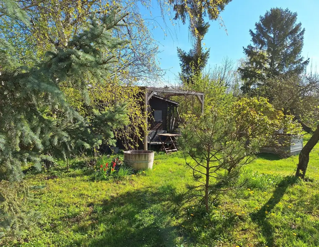 Großes Grundstück mit zwei Kaufoptionen (Teilungsentwurf)